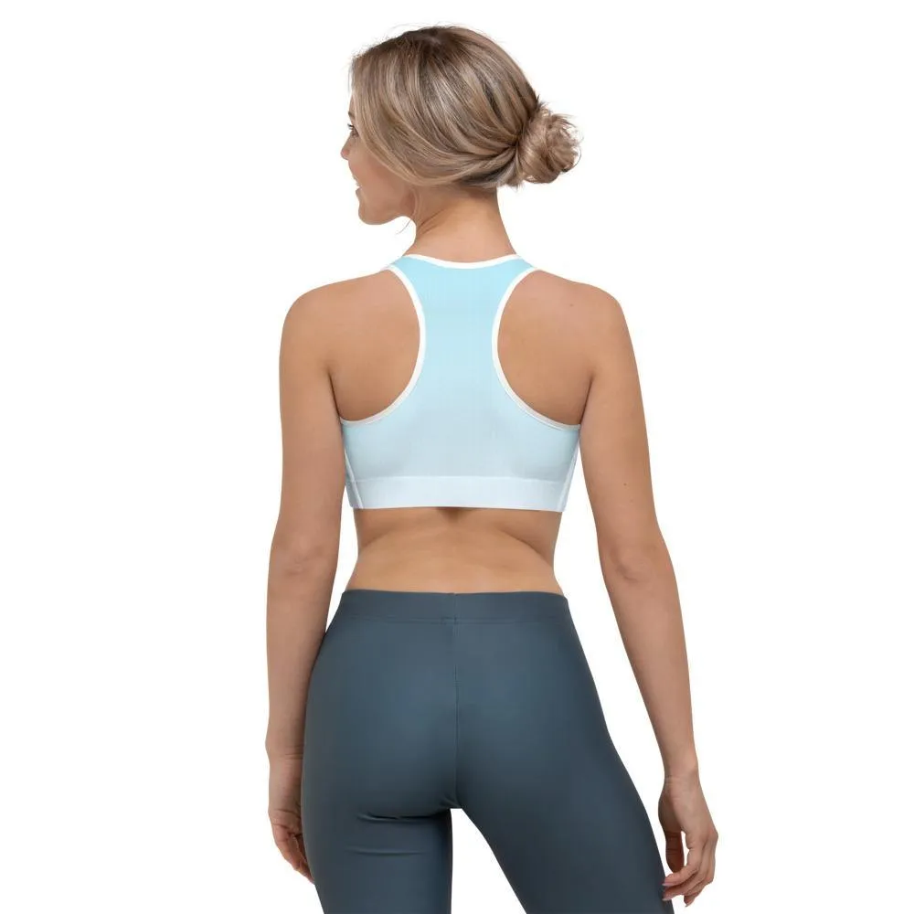 Arctic Ice Ombre Sports Bra