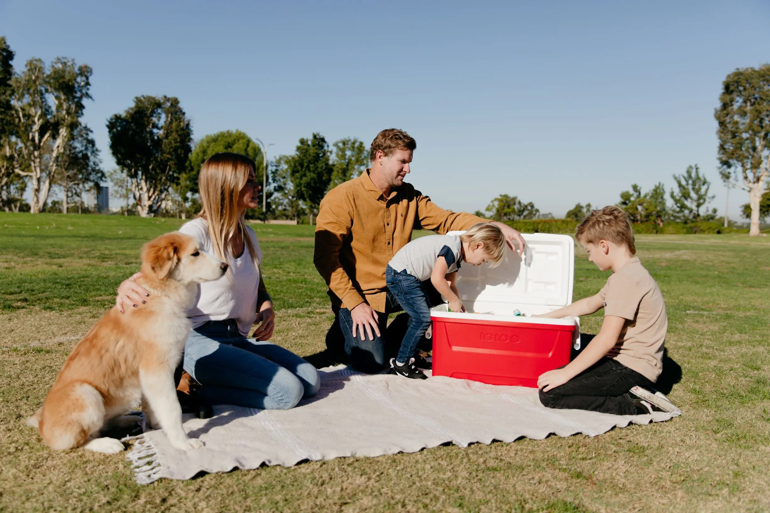 Igloo 48 qt. Laguna Ice Chest Cooler, Red