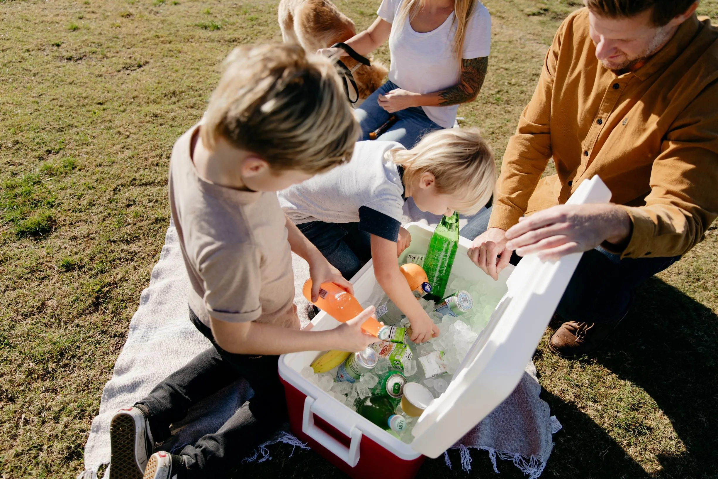 Igloo 48 qt. Laguna Ice Chest Cooler, Red